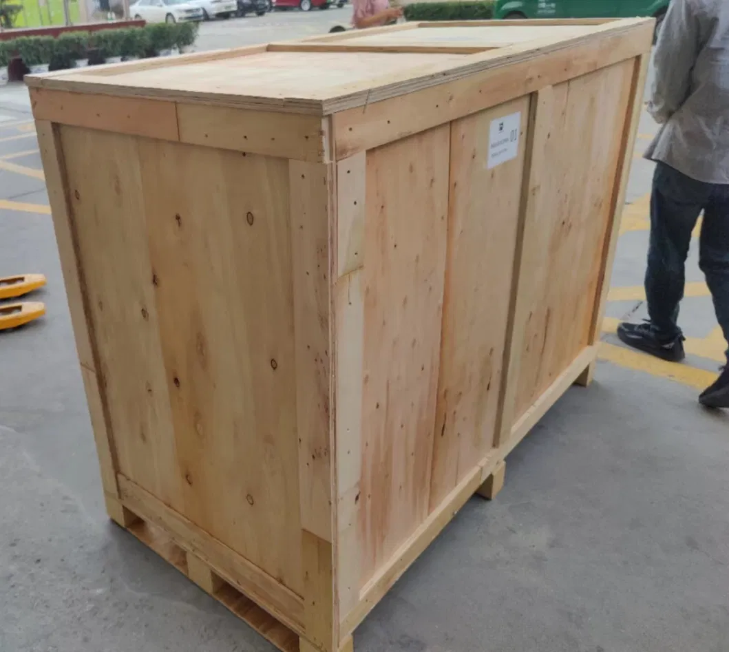 Professional Customized X Ray Baggage Scanner Machine Hpc-6040c with Russian